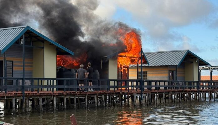 Description or Alt Text