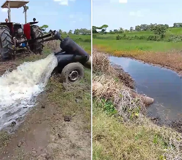 Description or Alt Text