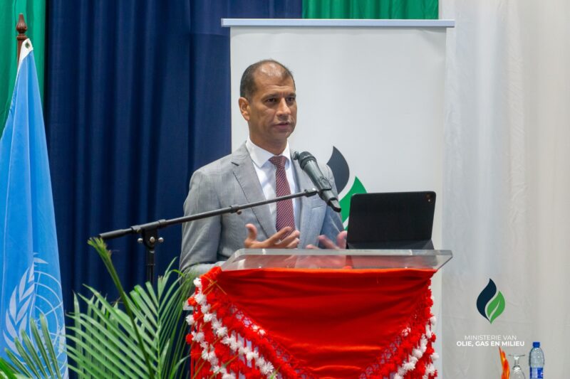 Description or Alt Text