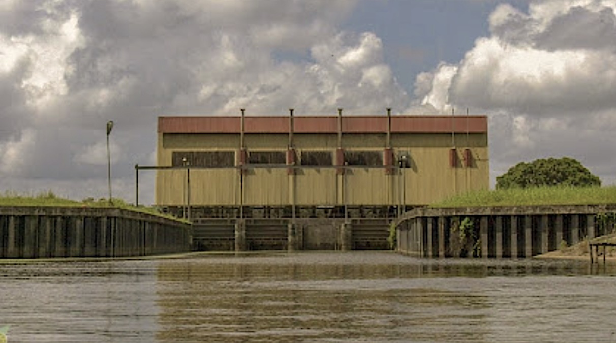 Description or Alt Text