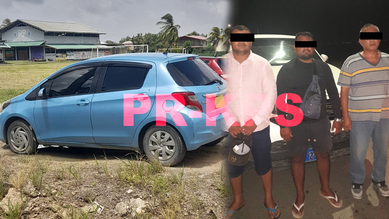 Description or Alt Text