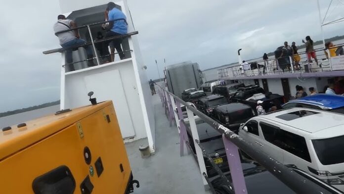 Description or Alt Text