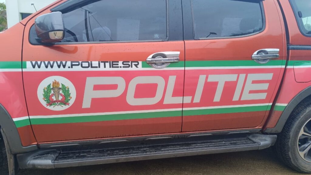 Description or Alt Text