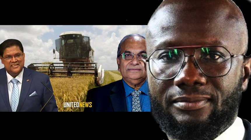 Description or Alt Text