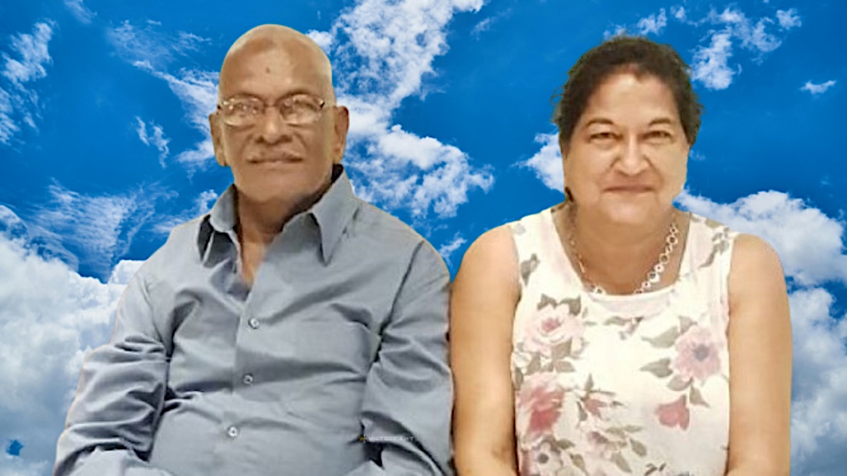 Description or Alt Text