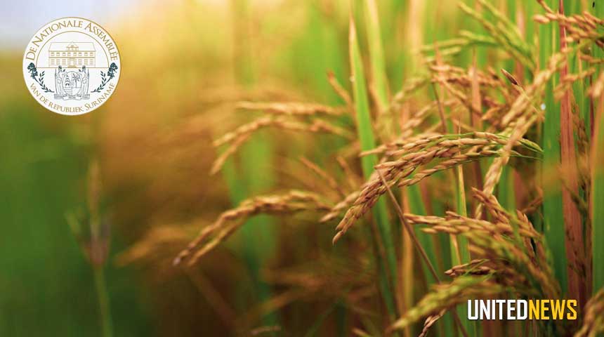 Description or Alt Text