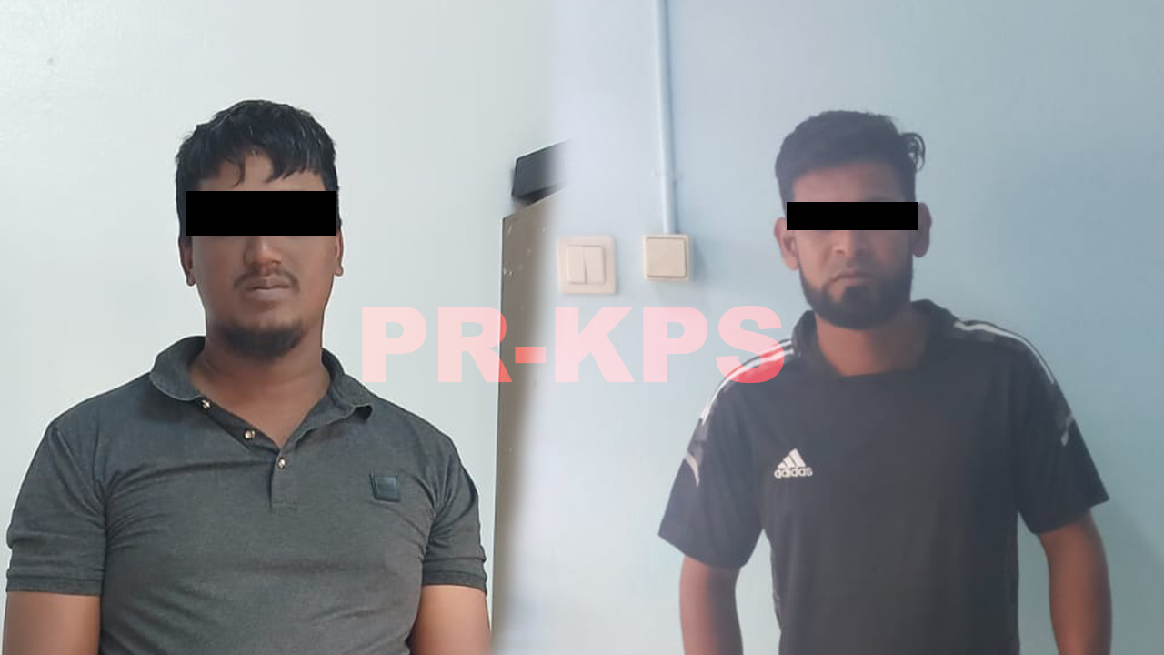 Description or Alt Text