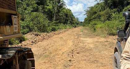 Description or Alt Text