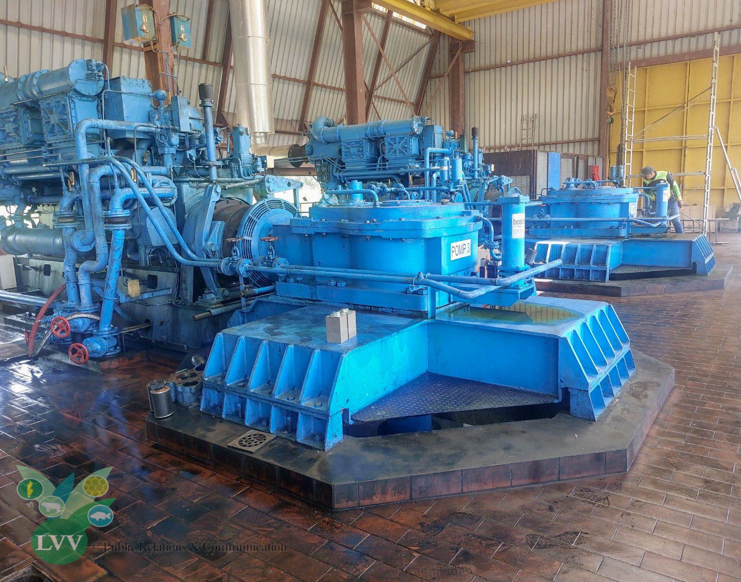 Description or Alt Text