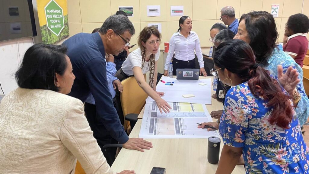 Bigi Pan-project brengt overheid, bedrijven en experts samen rond ‘blue carbon’