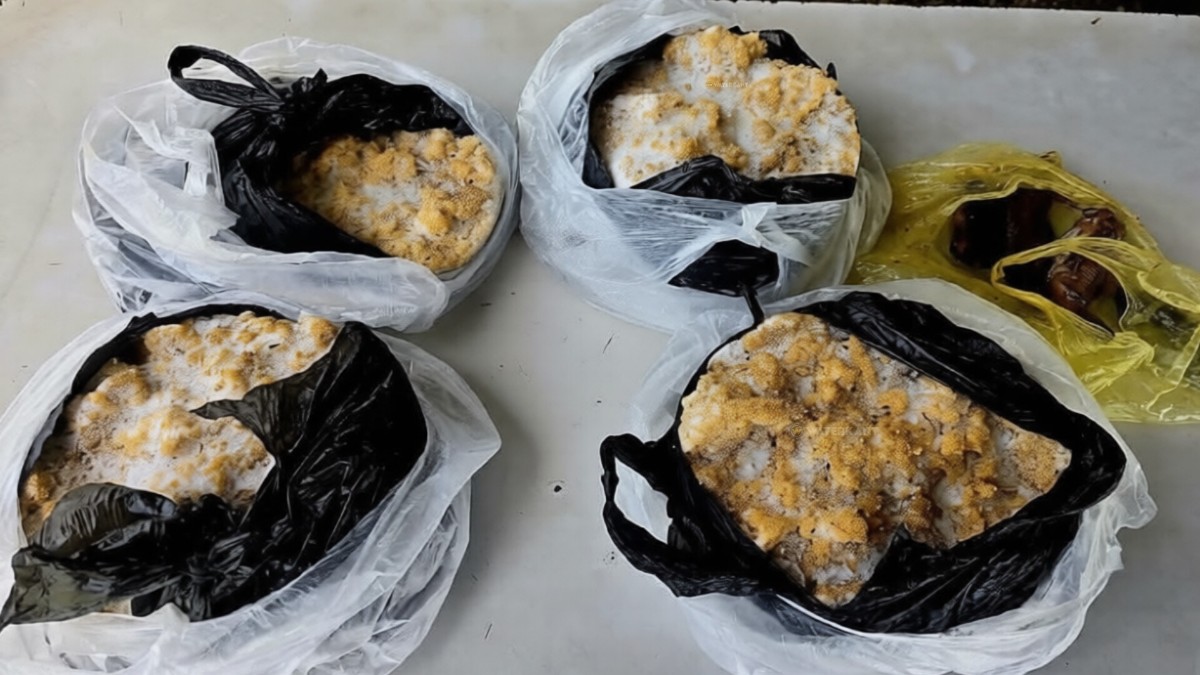 Politie onderschept 10 kilo kwie kwie-eieren bij controlepost Burnside