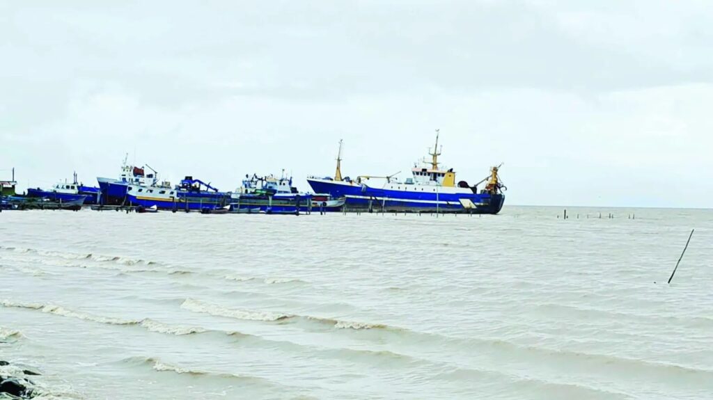 Description or Alt Text