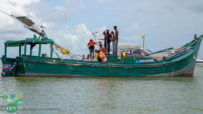 Description or Alt Text