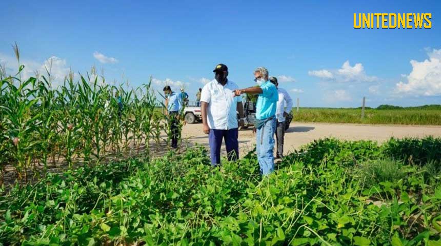 PRESIDENT ALI ONDERSTREEPT GROEI VAN GUYANESE LANDBOUW, MAAR REGIONALE VOEDSELIMPORT BLIJFT PIJNPUNT