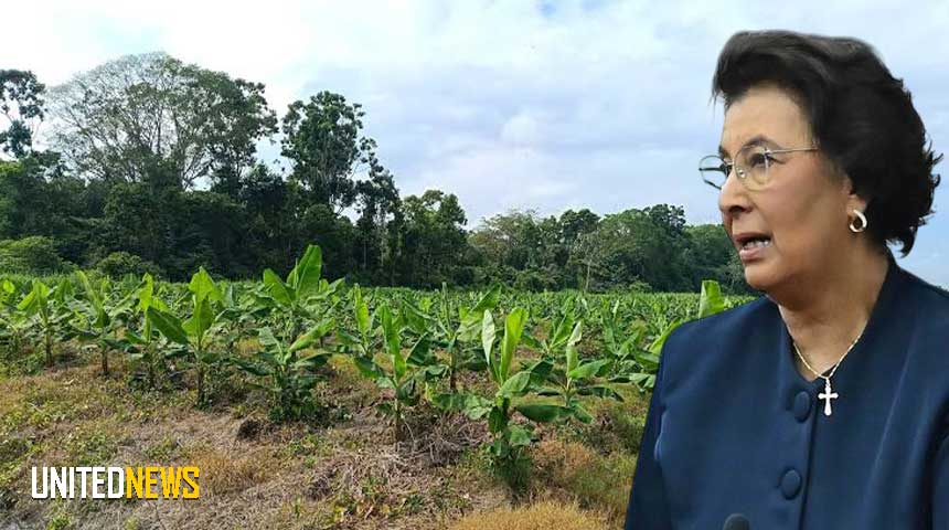 SIMONS ZIET LANDBOUWSECTOR ALS BUFFER TEGEN “OLIEVLOEK”