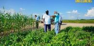 PRESIDENT ALI ONDERSTREEPT GROEI VAN GUYANESE LANDBOUW, MAAR REGIONALE VOEDSELIMPORT BLIJFT PIJNPUNT
